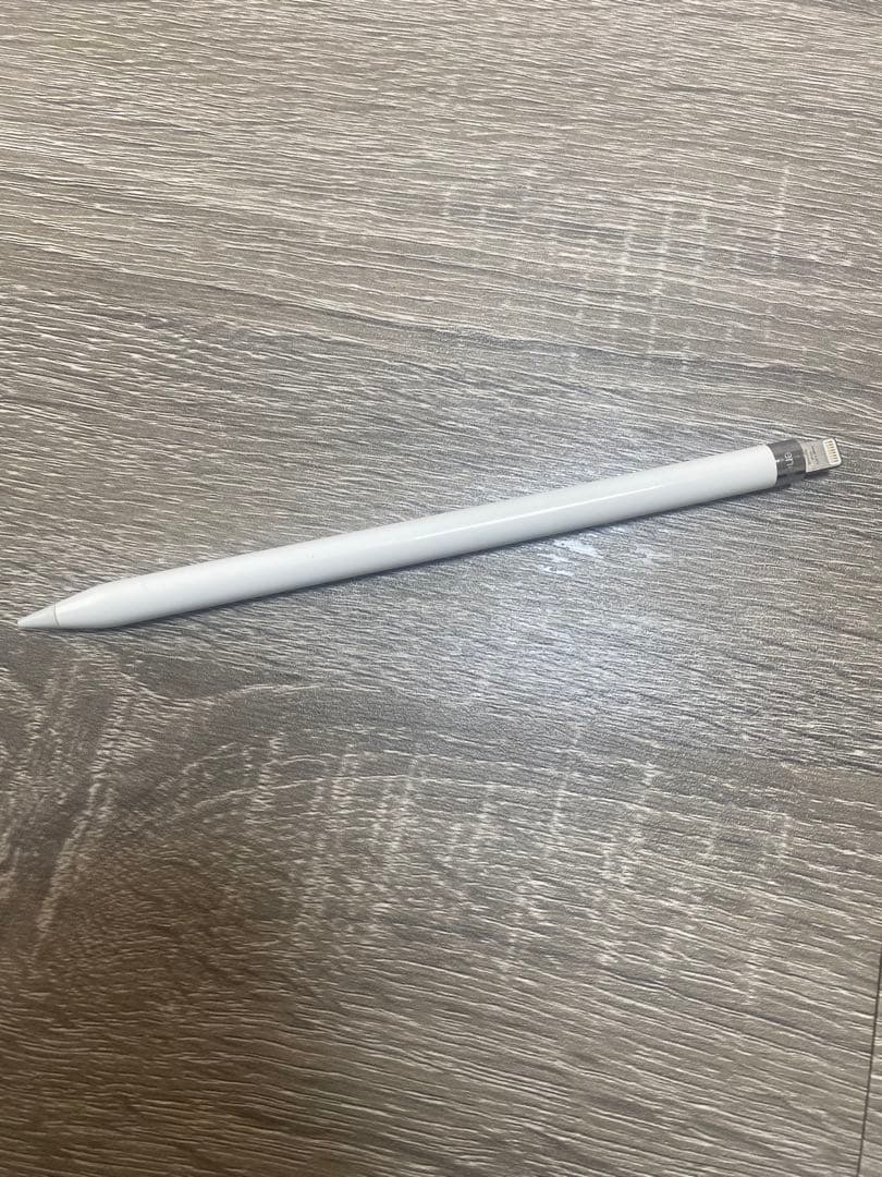ipad 第六世代　シルバー　Apple Pencil第一世代付き