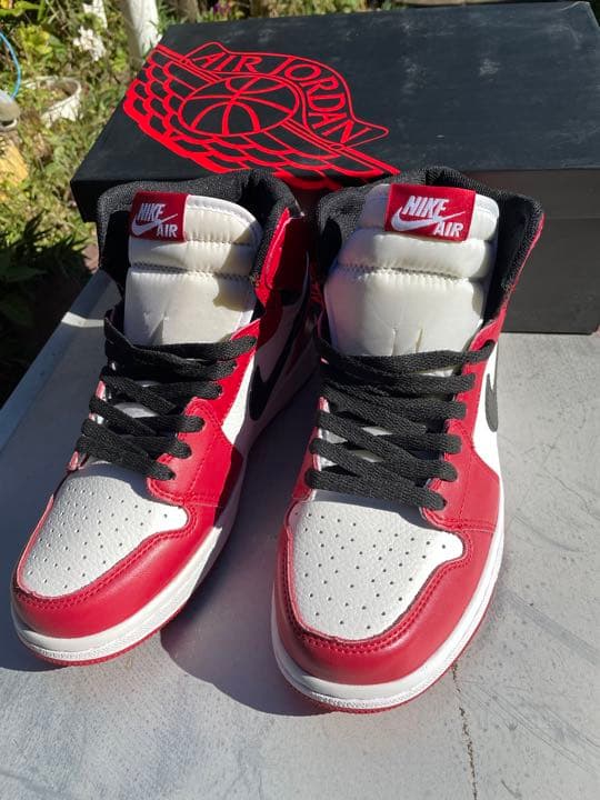 NIKE AJ1 CHICAGO 美術品　工芸品　鑑賞用