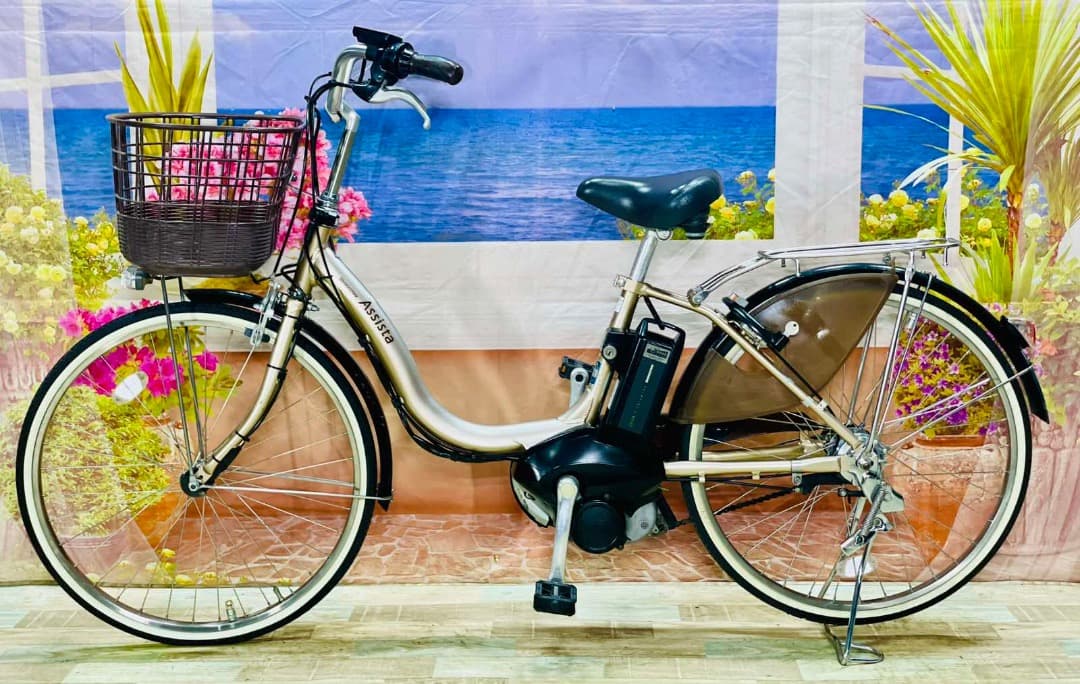 日淘市集公式アカウント08　Y2446 アシスタ⭐️ 激レア24インチ ブ