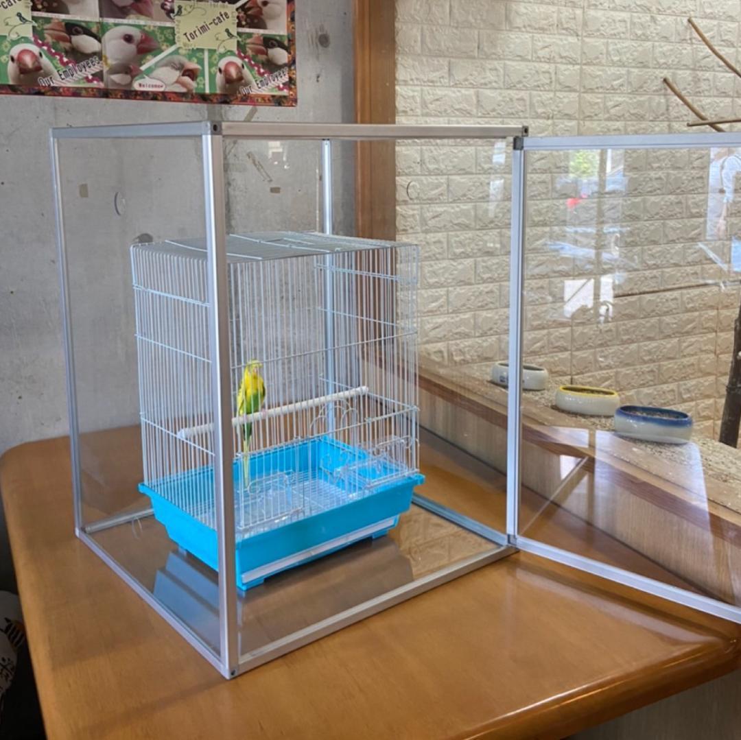 保温組立式アクリルバードケージ【 Lサイズ】右（左）開き 全面透明アクリルケース