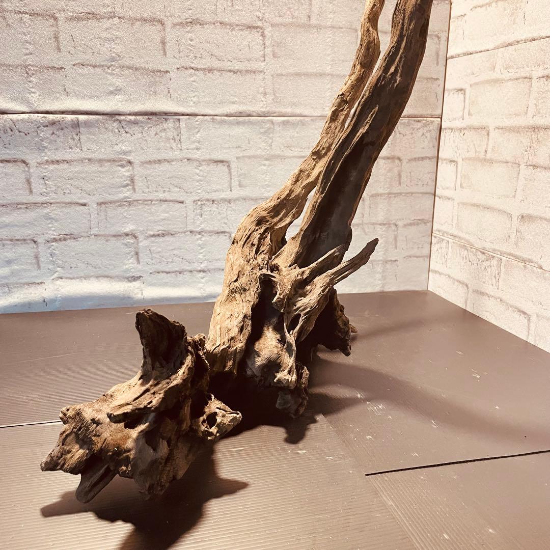 天然流木233 アク抜き処理済み　沈水処理済み　ビオトープ　水槽レイアウト