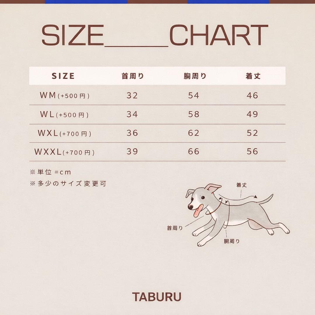 サイズ表