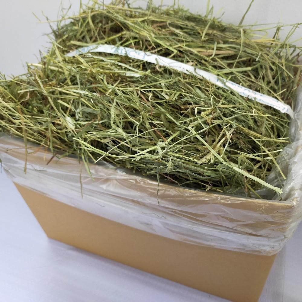 US産 チモシー 50kg ２番刈 ソフトSプレミアム