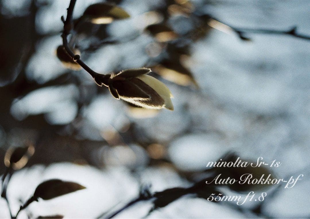 完動品＊美品＊初期保証★minolta Sr-1s&ロッコールレンズ★作例多数