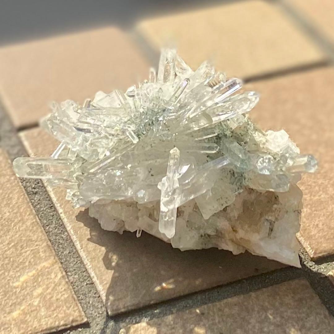 コロンビアレムリアンクラスター