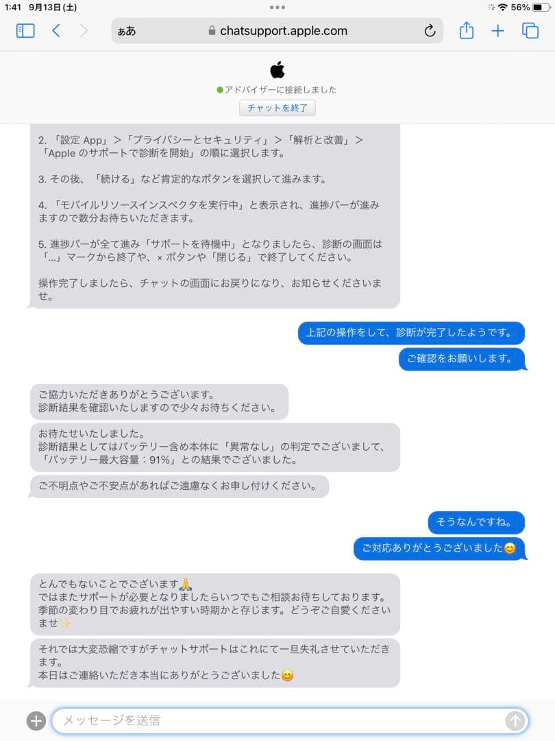 【動作確認済】iPad Pro第1世代 32GB (バッテリー最大容量91%)