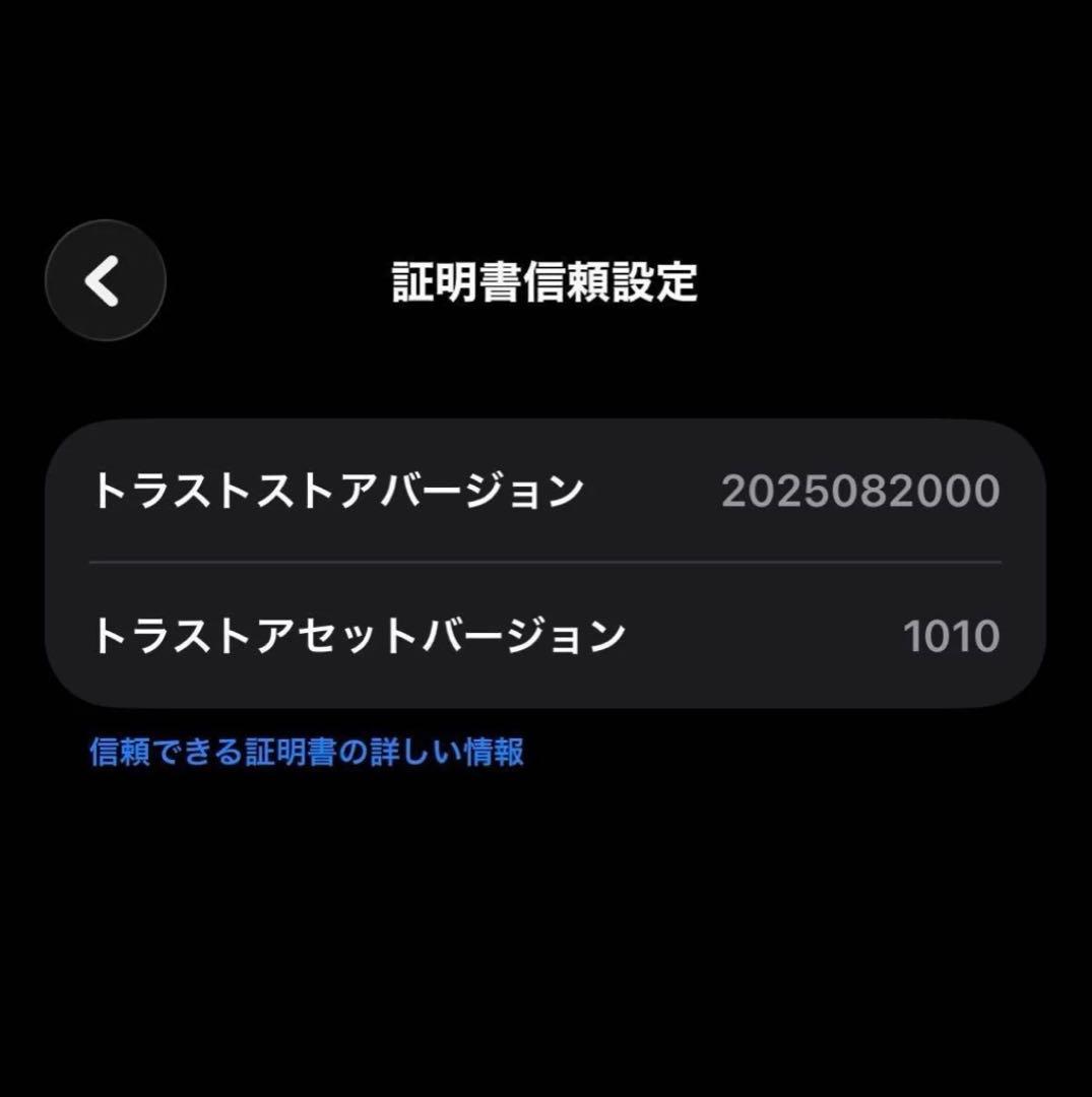 Apple iPhone16 256GB 海外版 SIMフリー シャッター音無し