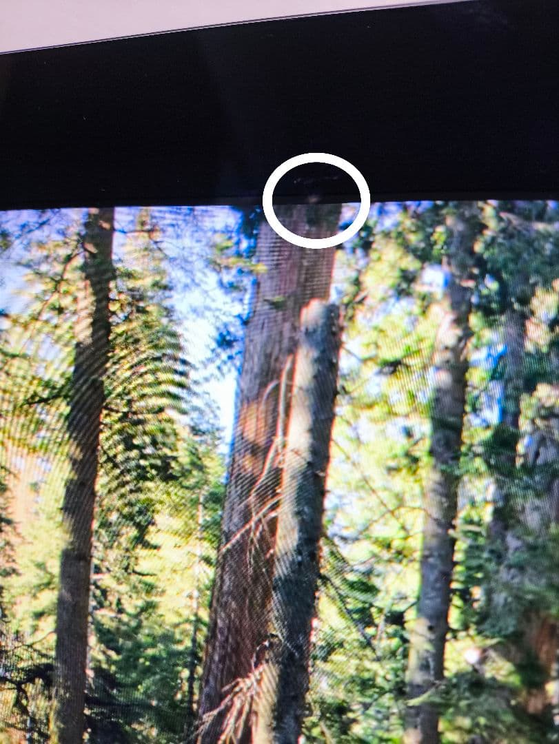 iMac 2017 4K 21.5インチ i5 16GB AMD4GB