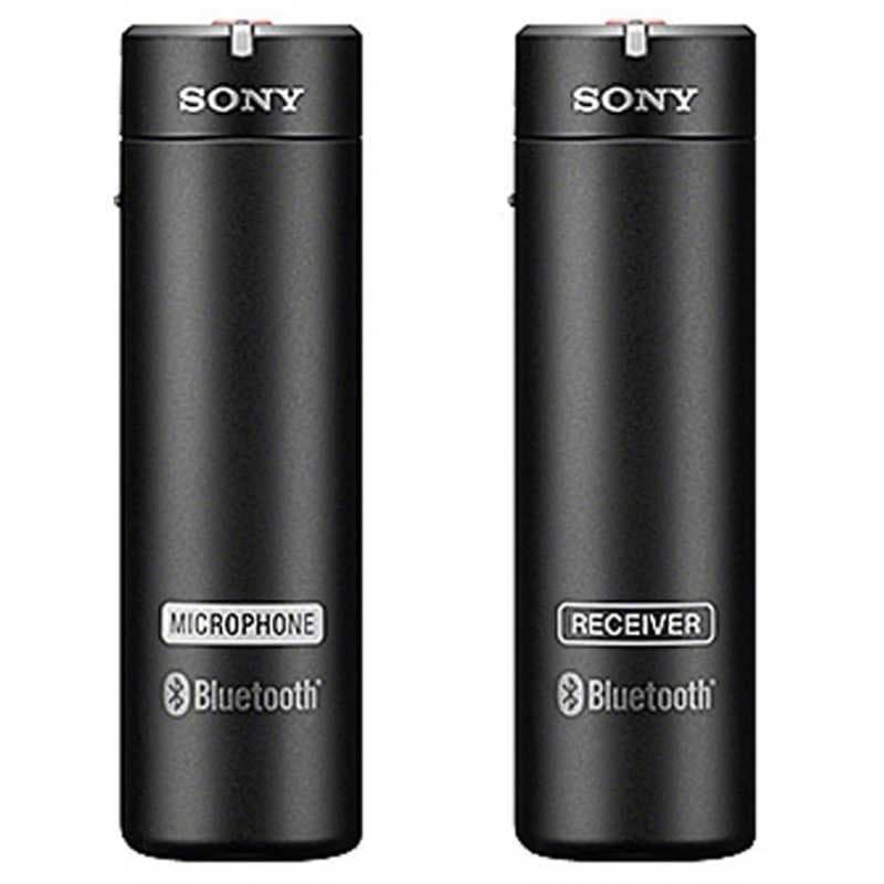 【説明欄必読】 2台セット★ SONY ワイヤレスマイクロホン ECM-AW4