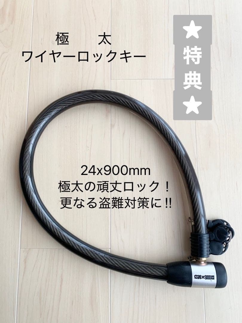 LOUIS GARNEAU ルイガノ LGS-TR LITE EA クロスバイク