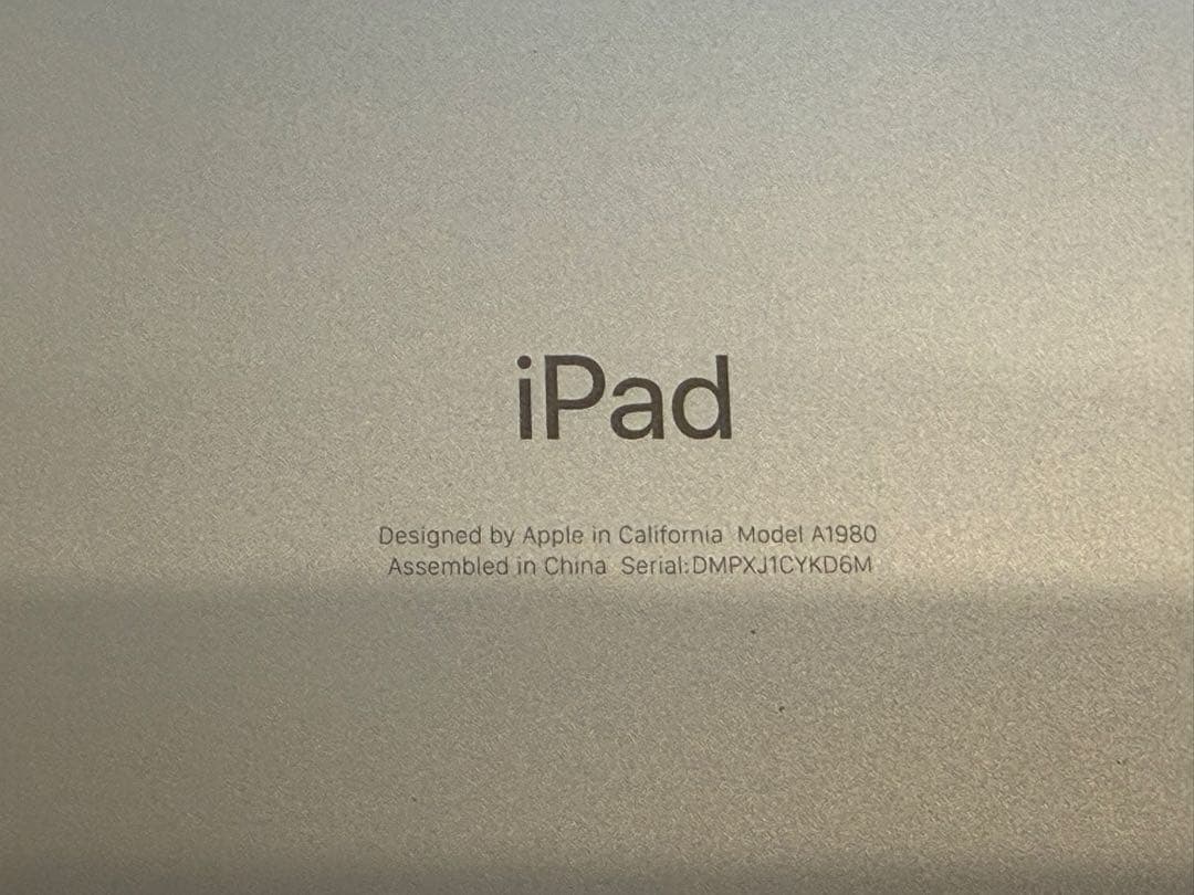 iPad Pro 11“シルバー Wi-Fiモデル 256GB (付属品完備)