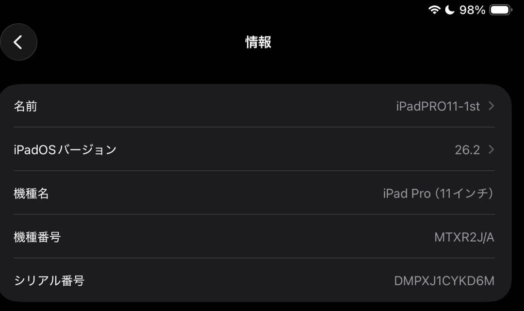 iPad Pro 11“シルバー Wi-Fiモデル 256GB (付属品完備)