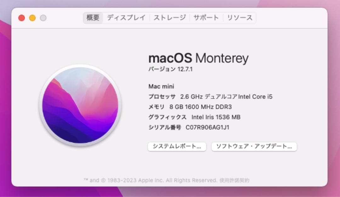 ミニPC Apple Mac mini [SSD]