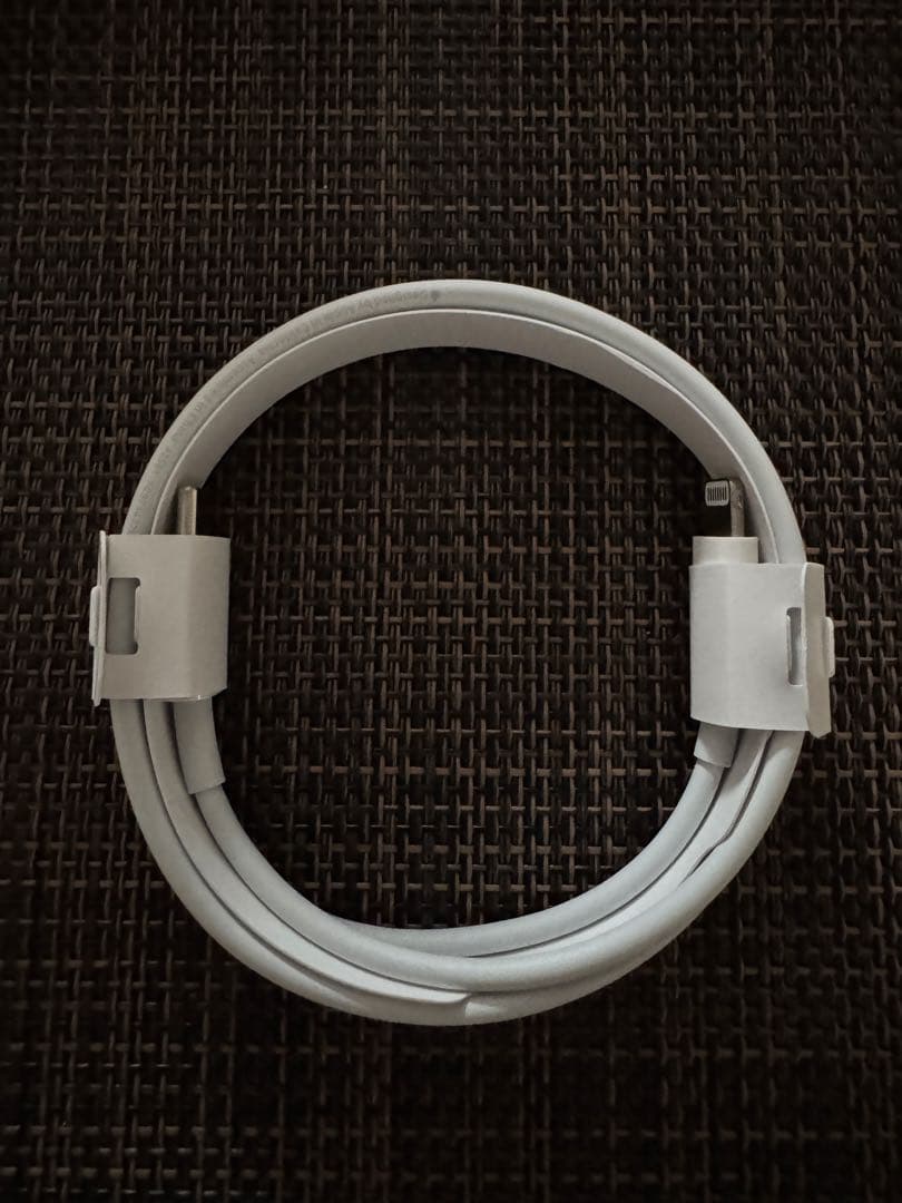 【美品 おまけつき】AirPods Pro 2(lightning端子)