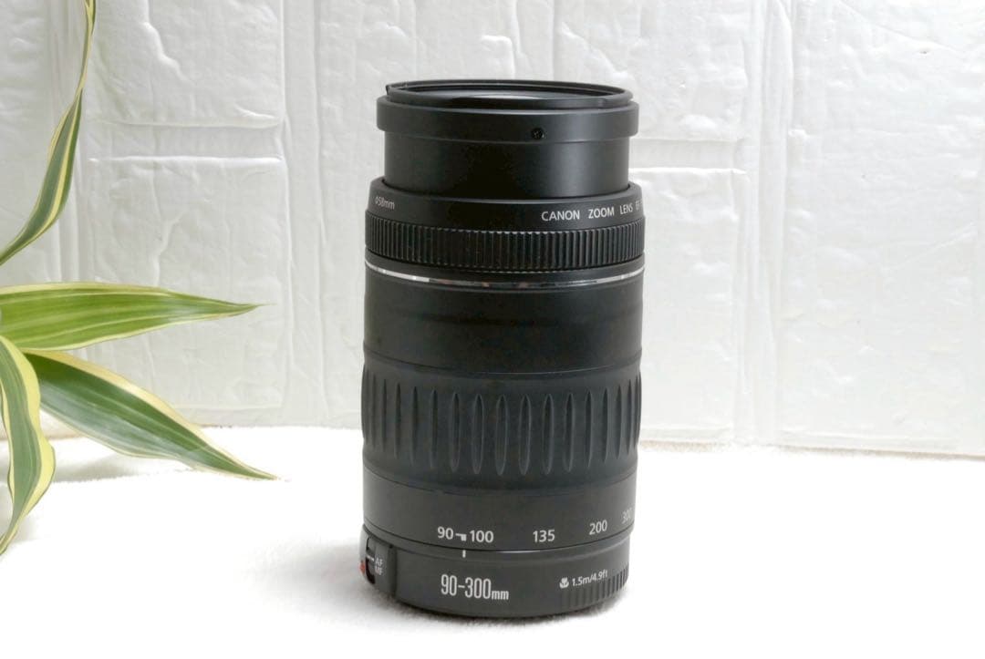 ⭐️キャノン Canon EF 90-300mm F/4.5-5.6 望遠レンズ