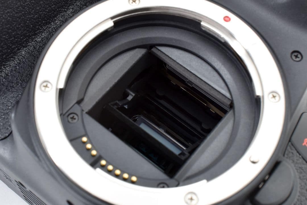 カメラバッグ付き✨美品✨Canon EOS KissX10i✨超望遠ダブルレンズ