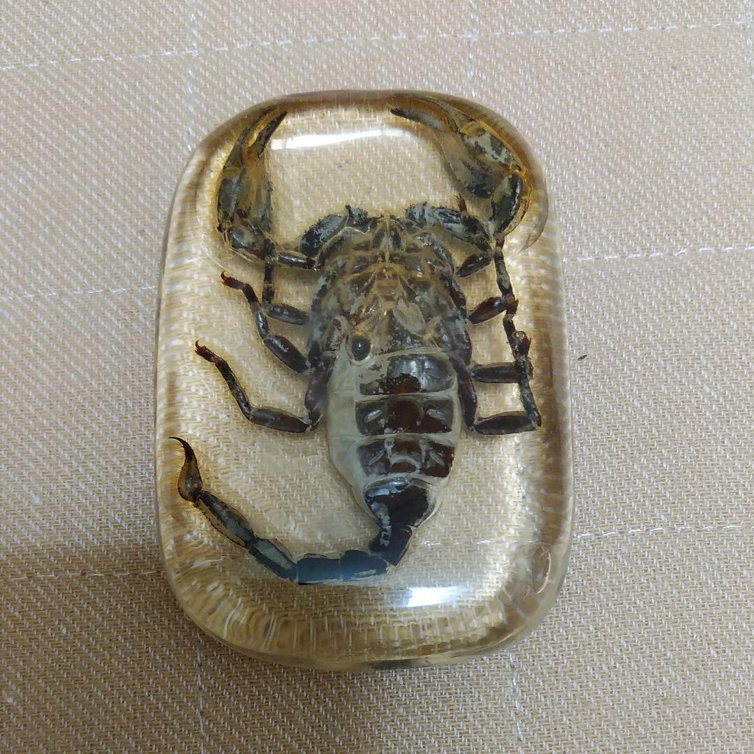 サソリの置物