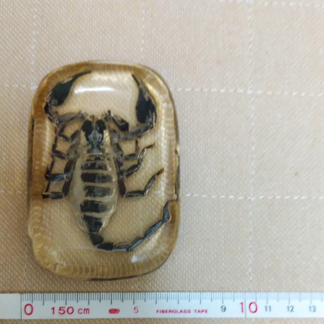 サソリの置物