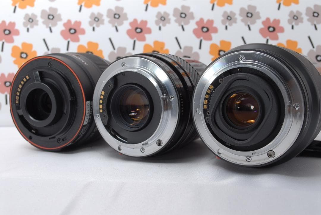 ❤SONY α65❤1秒10コマの高速連射❤トリプルレンズ❤超望遠❤超高画質❤