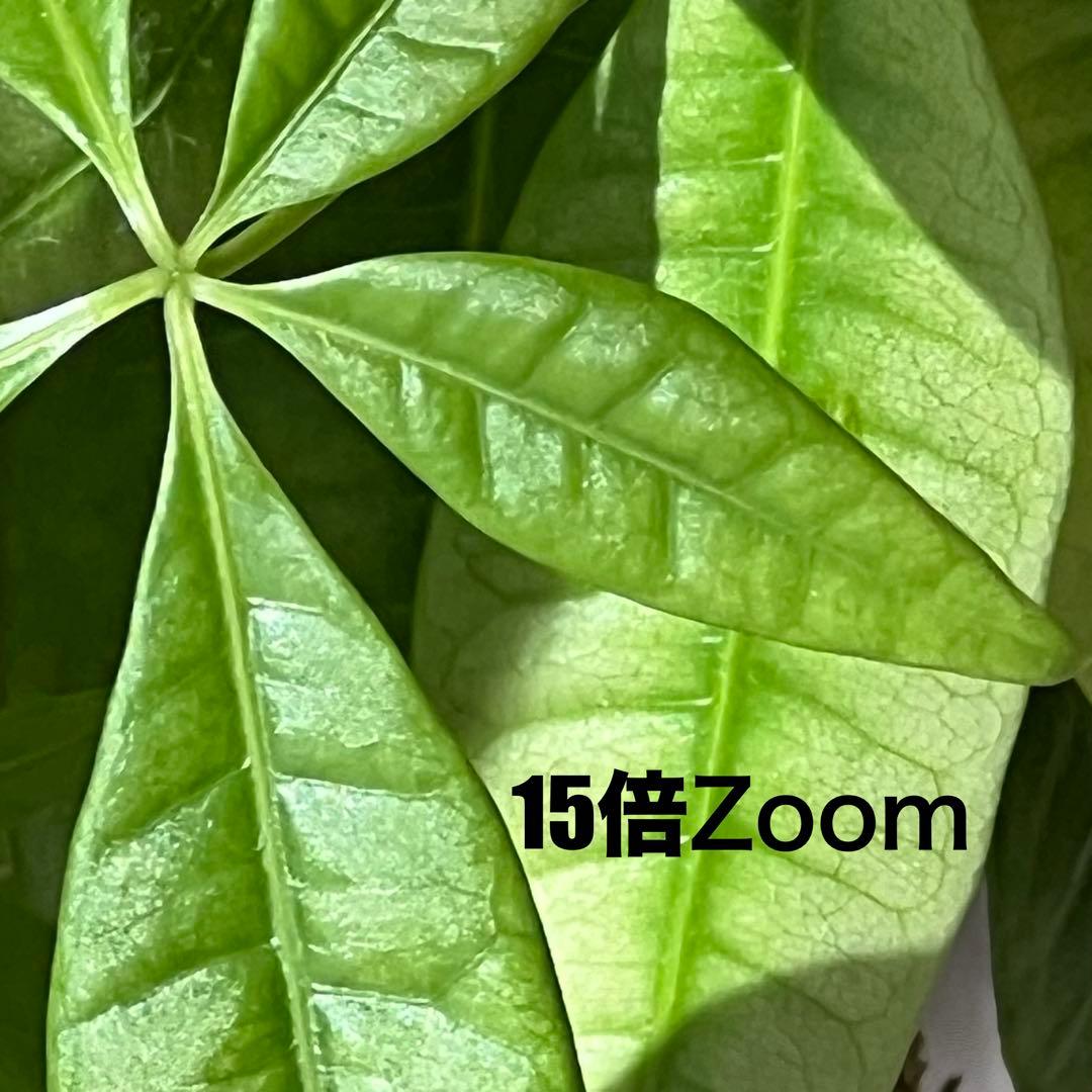 iPhone 13 Pro Graphite 256GB SIMフリー