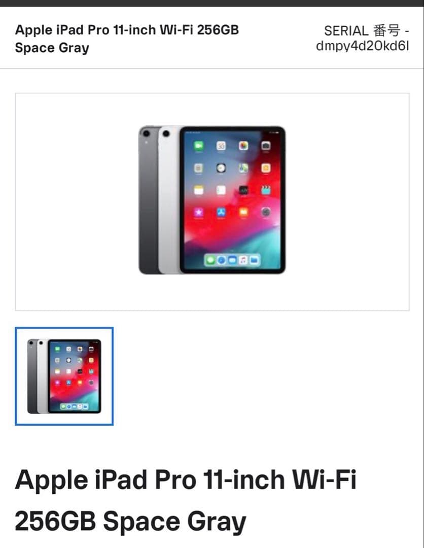 美品　iPad Pro11インチ　256GB