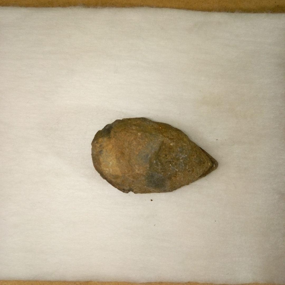 三葉虫　化石　三葉虫化石　究極のレトロ　fossil　ボリビア産　化石管理番号⑯