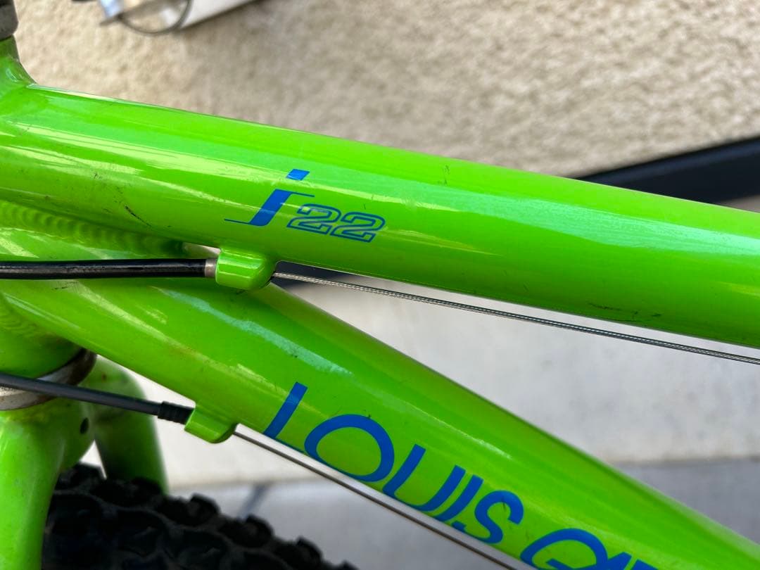 LOUIS GARNEAU ジュニアマウンテンバイク グリーン　J22(手渡し)