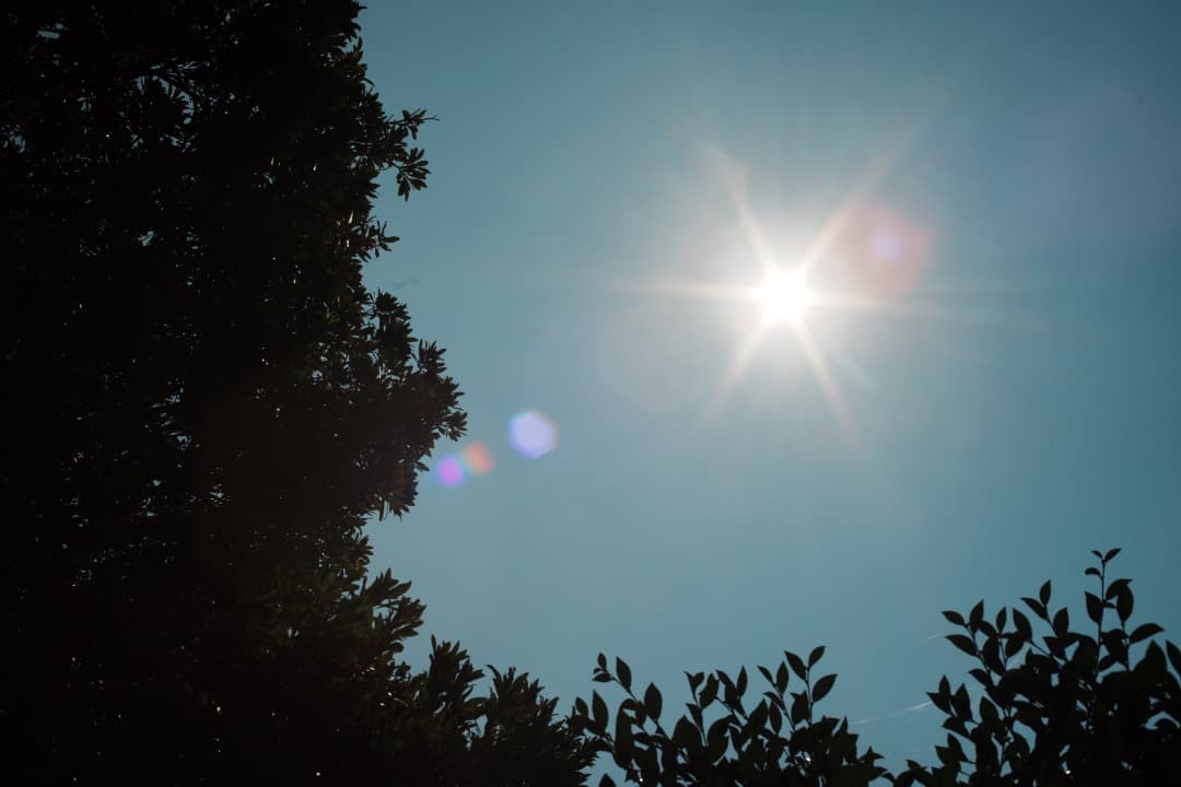 【和製貴婦人】動作◎ MC ROKKOR-PG 50mm F1.4 923