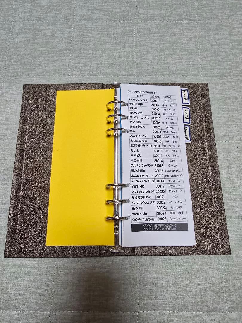 オンステージカラオケ PK-110GT(N)ゴールド※ペアマイク&追加チップ付き