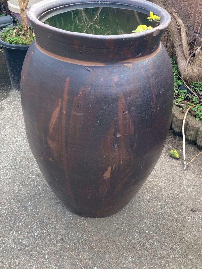 【古民具】大型 渋い黒釉 、ダークブラウン陶器の甕。 アンティークメダカ鉢。