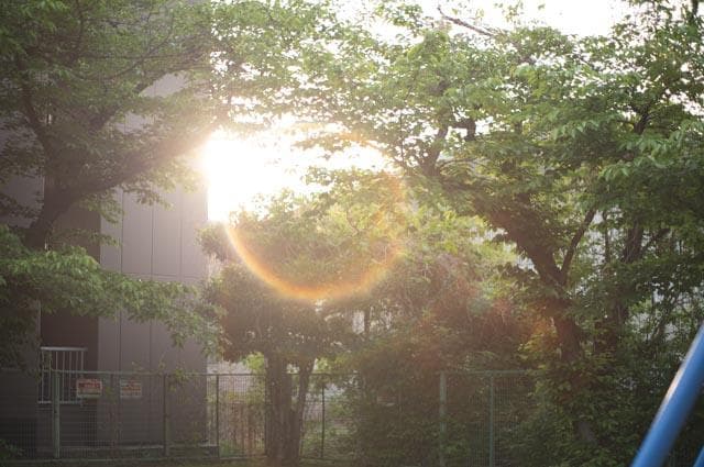 【玉ボケが綺麗なオールドレンズ】smc takumar 55mm f1.8