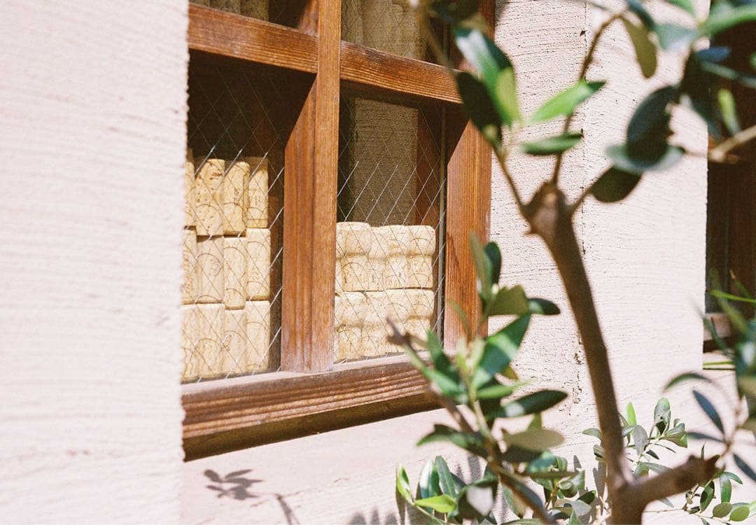 【動作品】PENTAX MX + smc PENTAX-M 50mm F1.7