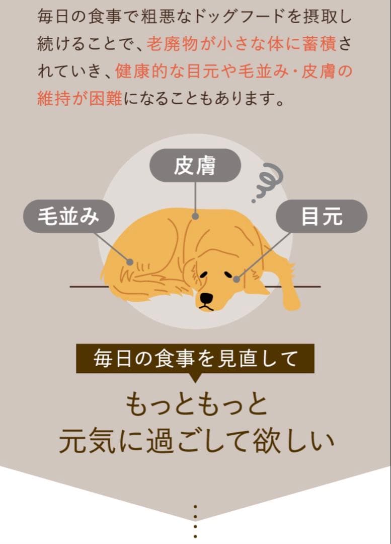 [犬猫生活 ] ドッグフード国産の生鶏肉味 850g✖️2袋