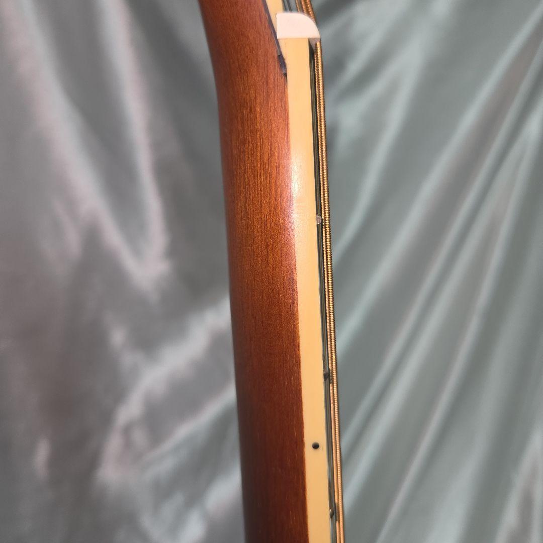 【送料無料】Morris F-022 TS アコースティックギター