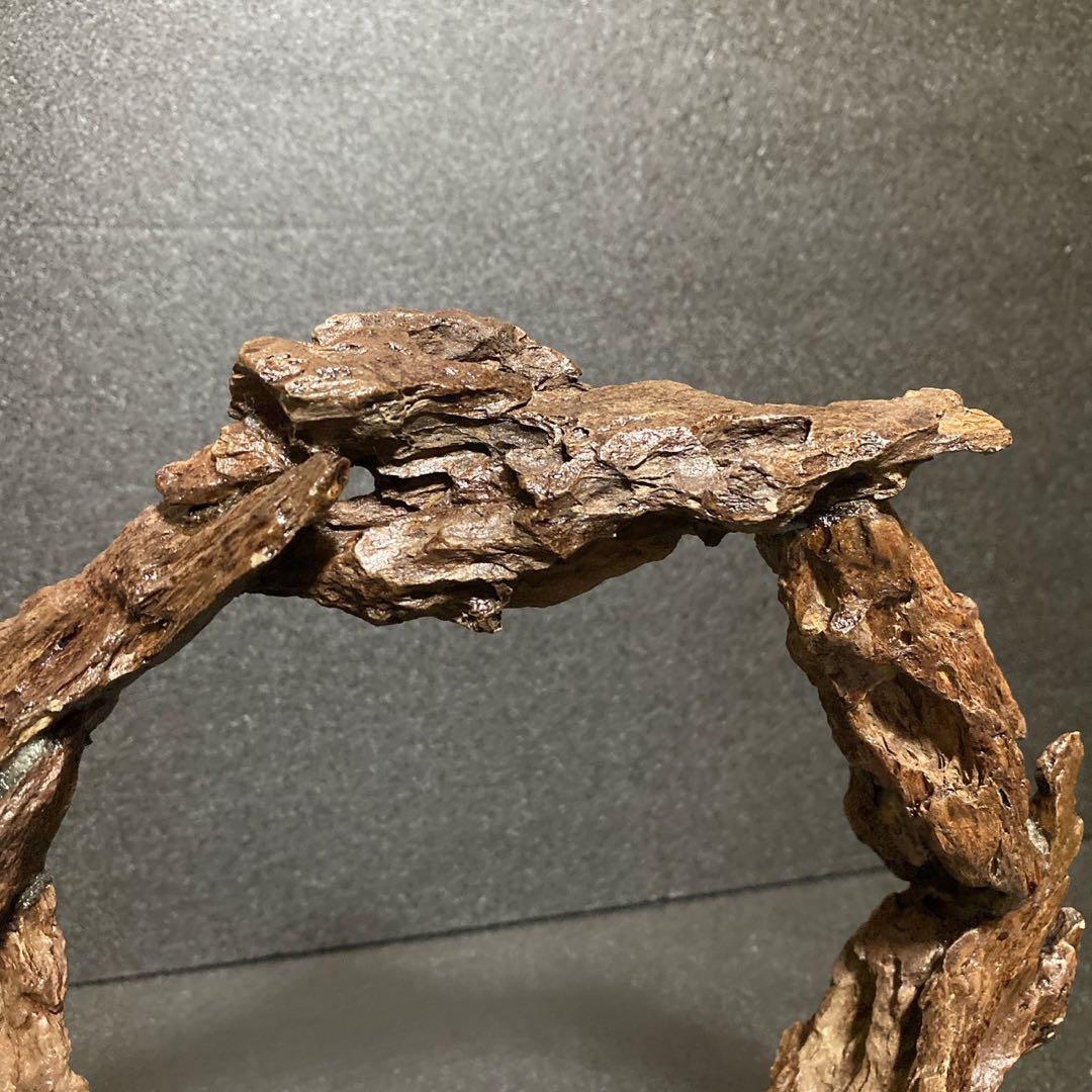 ◎気孔石 アート 一点もの インテリア 天然