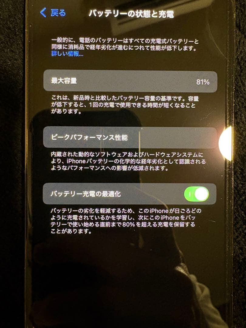 iPhone 12 Pro 最大容量81%