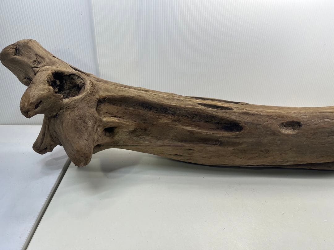 W27特大流木 アク抜き済み流木 爬虫類シェルター 登り木 インテリア 生け花