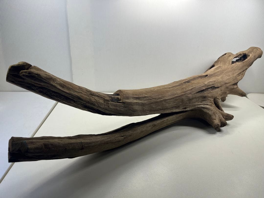 W27特大流木 アク抜き済み流木 爬虫類シェルター 登り木 インテリア 生け花