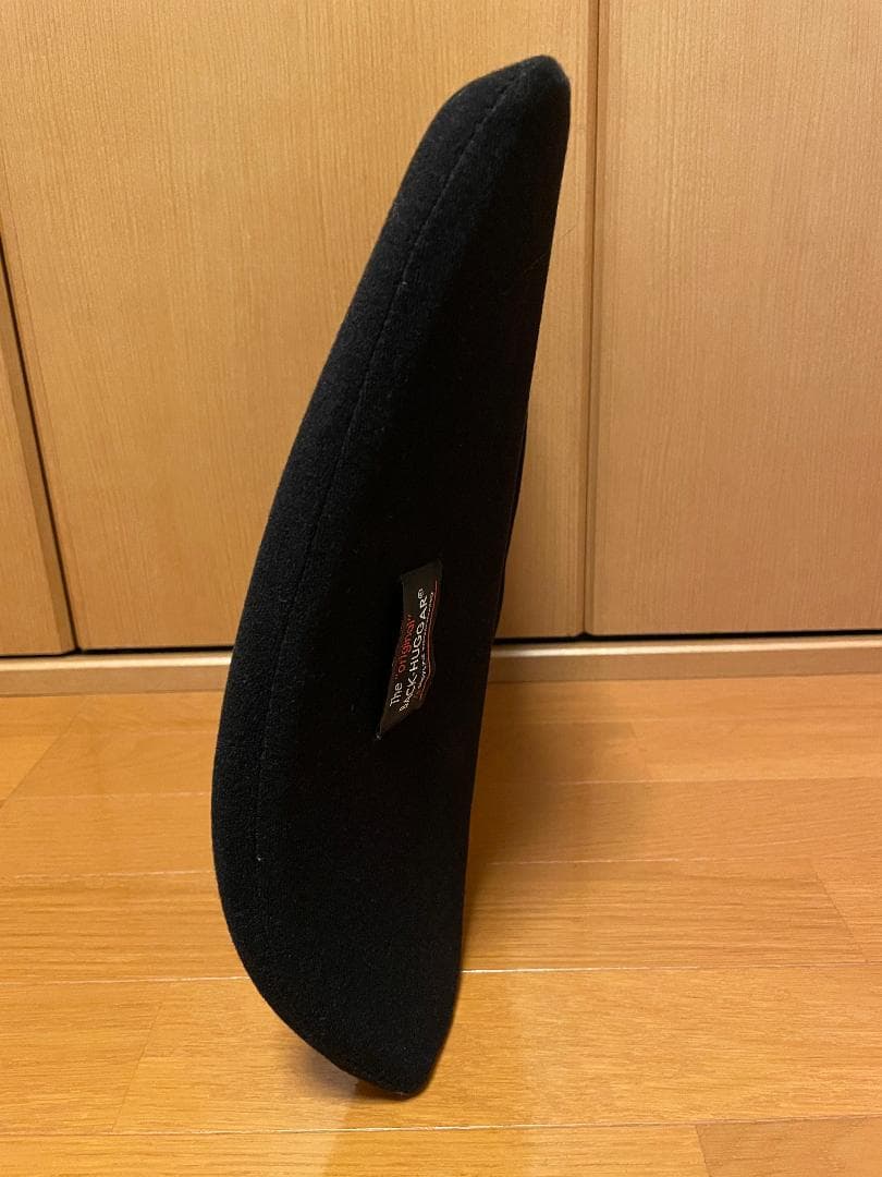 back huggar バックハガー　姿勢矯正　クッション　２点セット