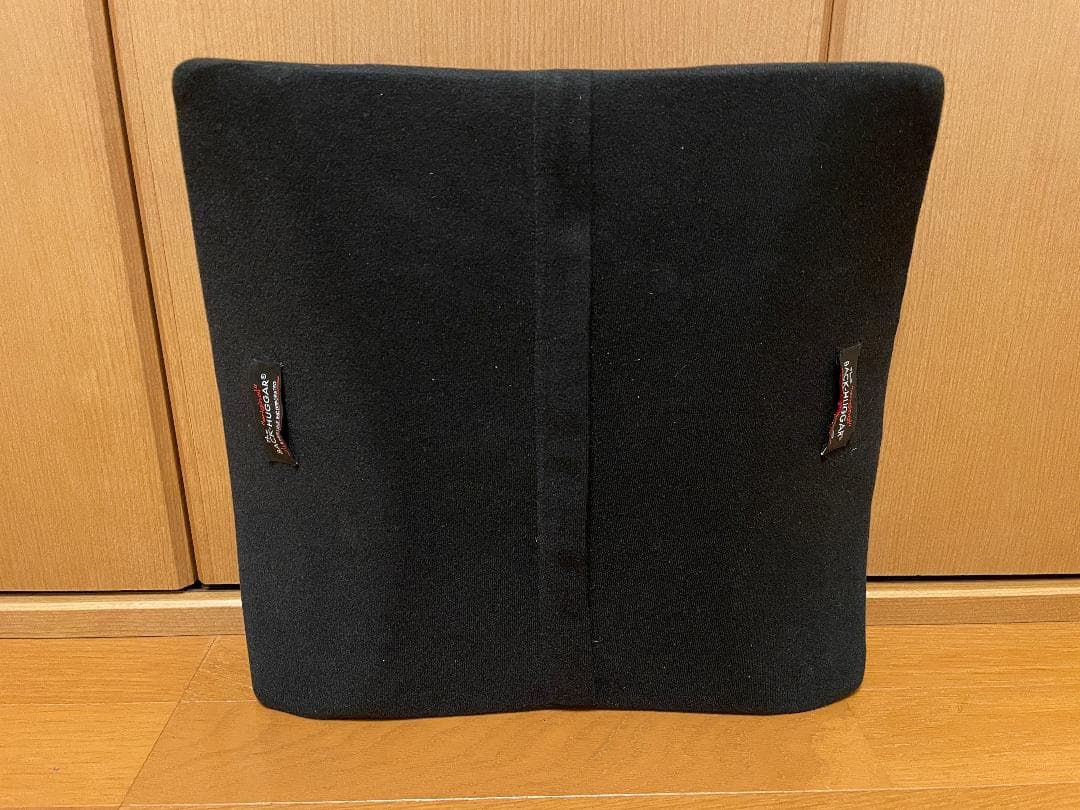 back huggar バックハガー　姿勢矯正　クッション　２点セット