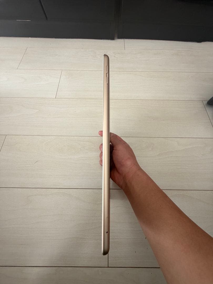 iPad 第5世代 32GB Wi-Fi+Cellular 本体