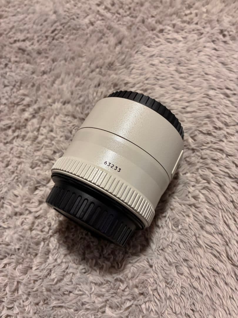 EF70-200mmF2.8L IS USM＋Extender EF 2x II