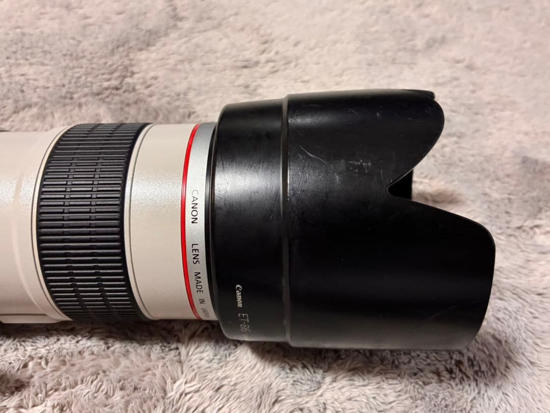 EF70-200mmF2.8L IS USM＋Extender EF 2x II