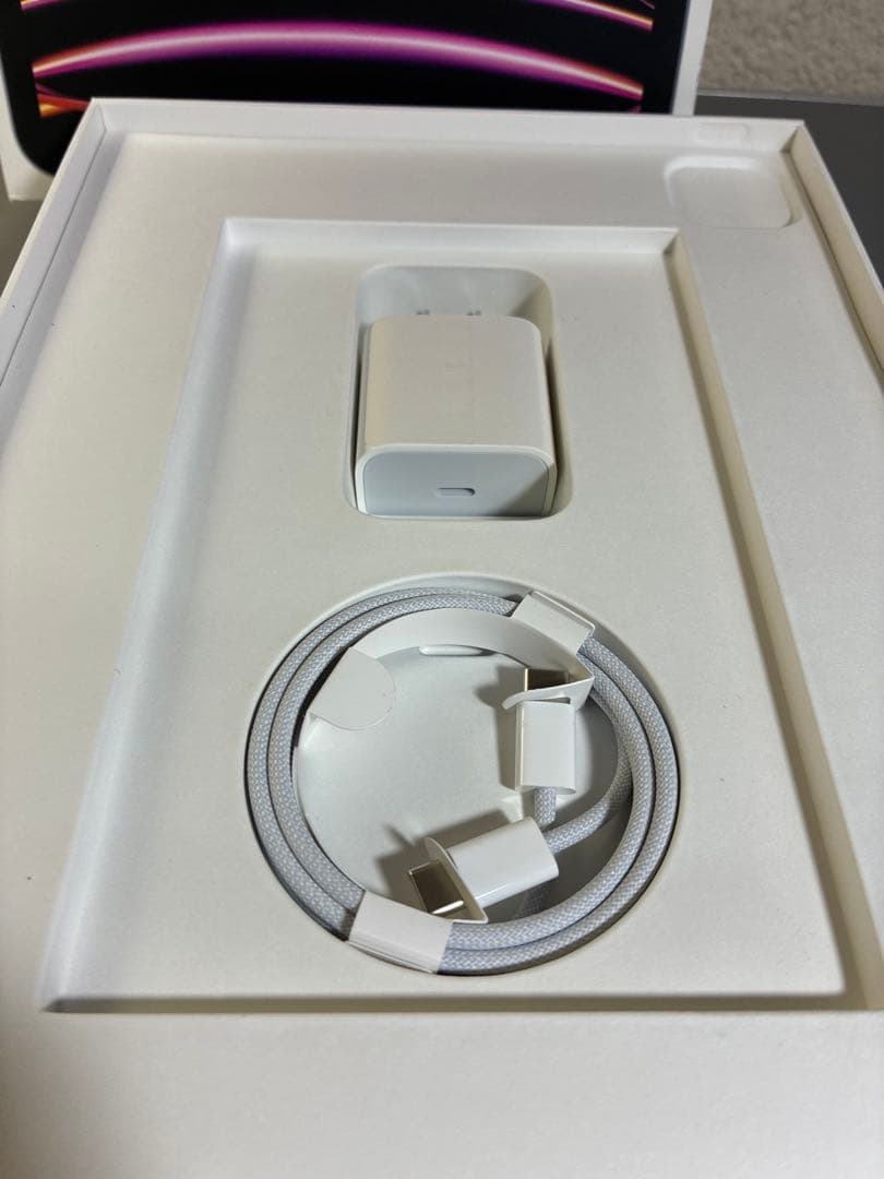 iPad pro 11インチ 第4世代 256GB Apple Pencil