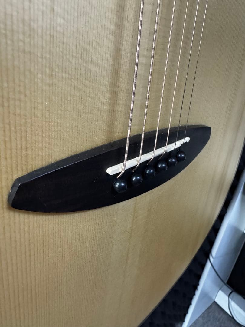 aNueNue L10E (エレアコモデル)
