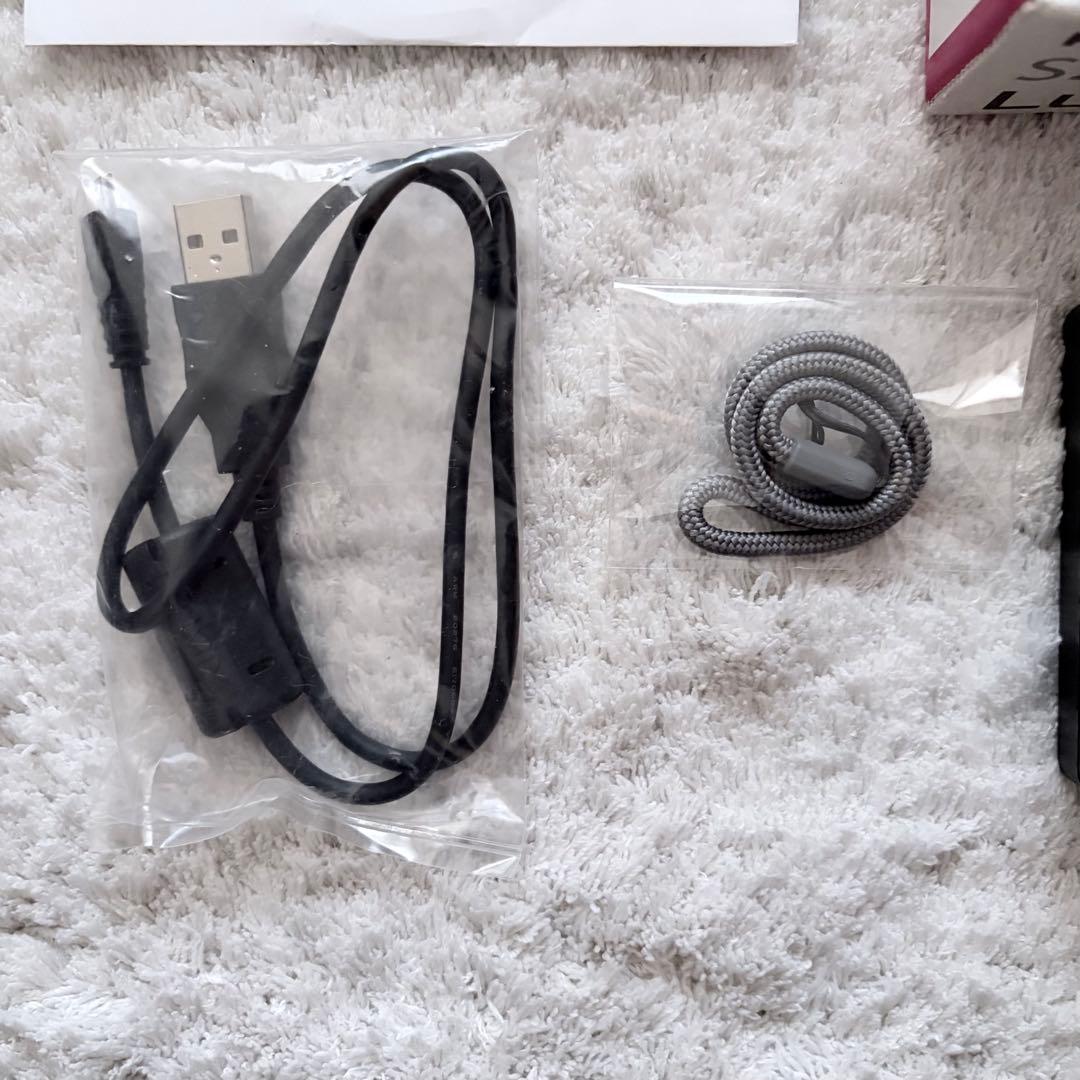 美品【動作確認済】Panasonic パナソニック LUMIX DMC-S2