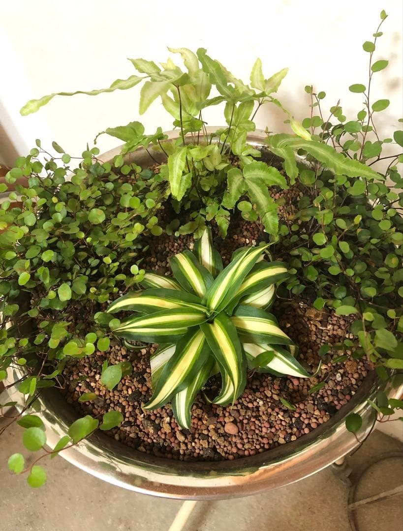 【最安値】インダストリアル 病院用洗面台 ウォッシュスタンド★アンティーク