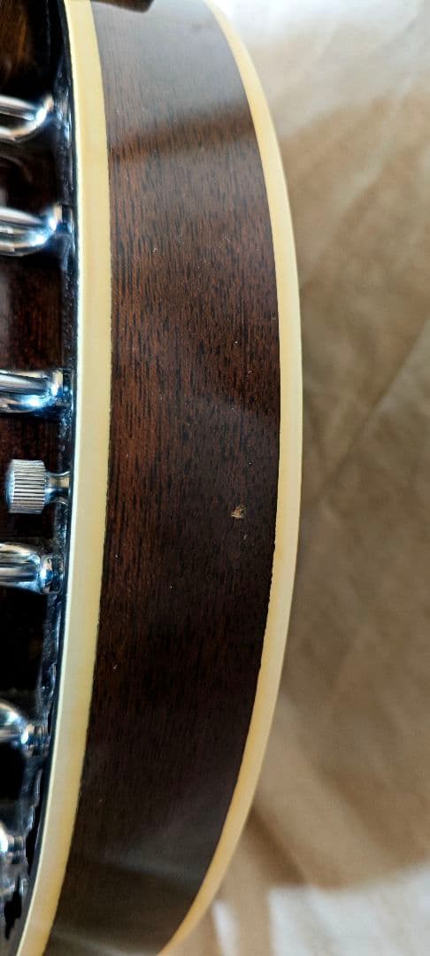 テネシー５弦バンジョー