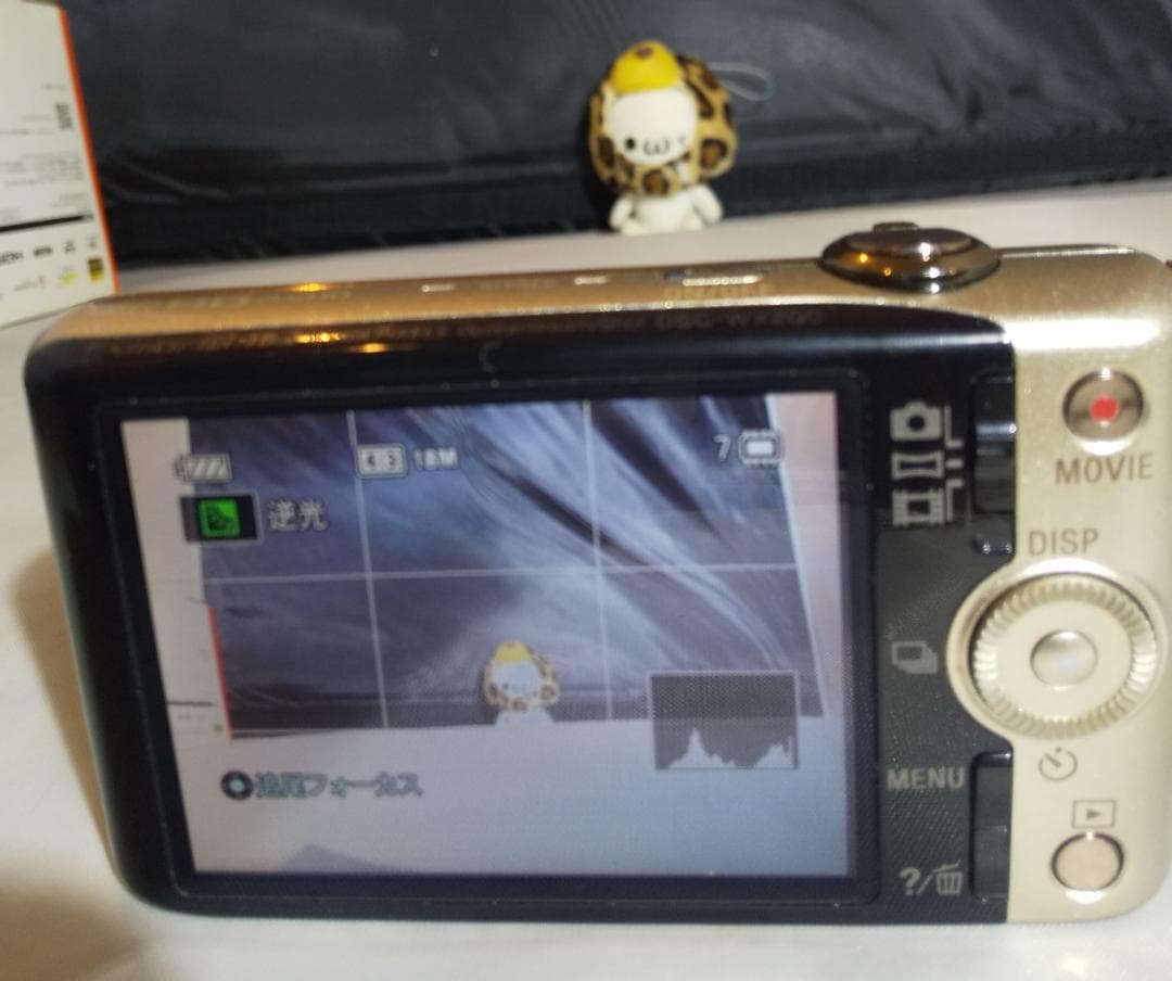 【美品】SONY Cyber-Shot DSC-WX200 光学10倍ズーム