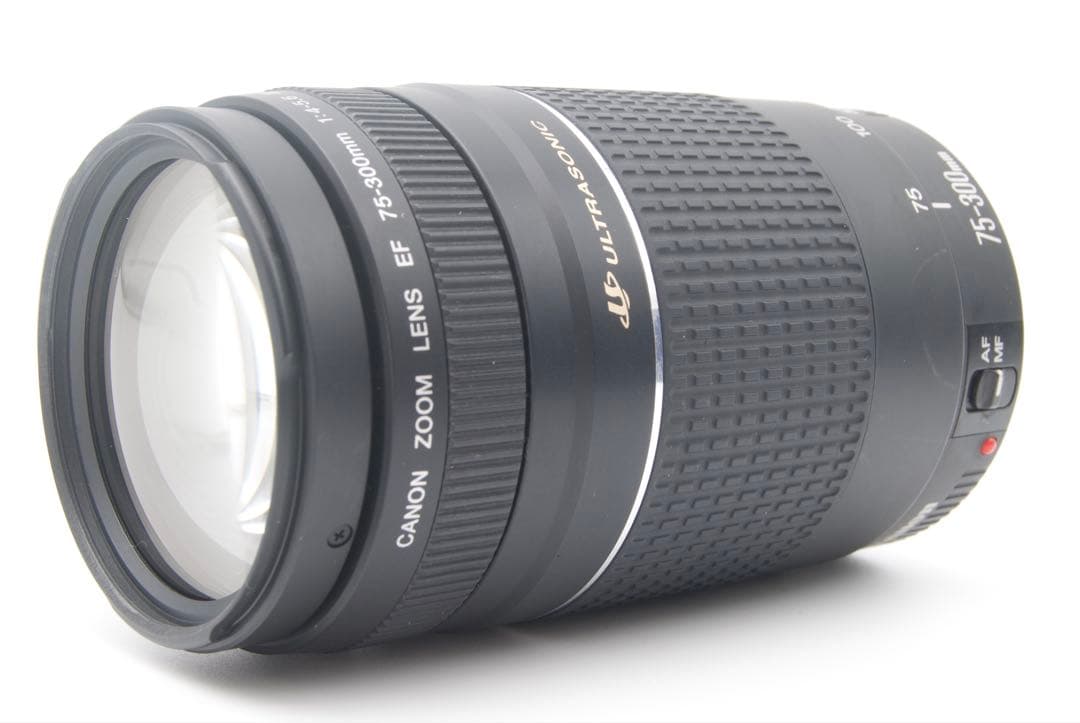 Canon EOS 90D Wレンズ　高速連写　3250万画素　4K動画撮影可能